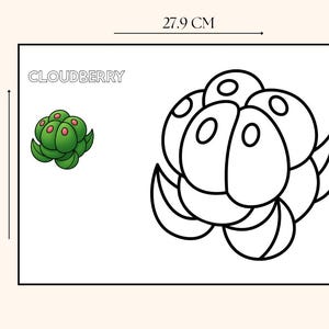 Fruits Coloring Book for Kids | Fun Learning (Digital Download) image 5