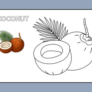 Fruits Coloring Book for Kids | Fun Learning (Digital Download) image 4