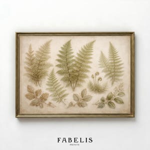Może przedstawiać: Oprawiony botaniczny nadruk z szczegółowymi ilustracjami paproci i liści w odcieniach zieleni i brązu. Grafika ma estetykę vintage, z tekstem "FABELIS PRINTS" na dole.