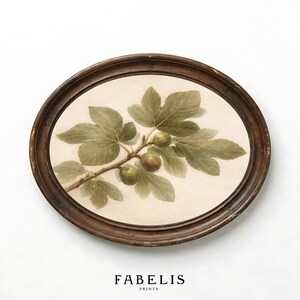 May include: Oval framed print featuring a fig branch with green leaves and figs. The artwork is set against a cream background and framed in a dark brown, distressed wooden frame. The text "FABELIS PRINTS" is at the bottom.