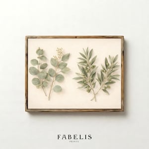 May include: Botanical print featuring eucalyptus and olive branches in a wooden frame. The artwork showcases detailed illustrations of the leaves and berries in shades of green and beige. The print has the text "FABELIS PRINTS" at the bottom.