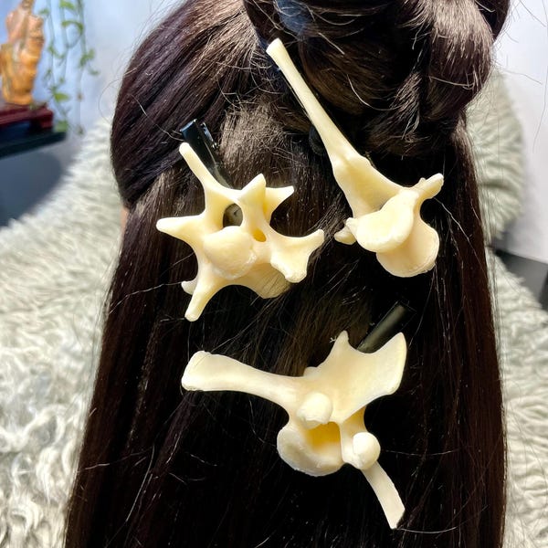 Echte Wirbel Haarspangen | Echter Hals-, Brust- und Lendenwirbelknochen | Aus ethischer Sicht | Gothic Haarschmuck