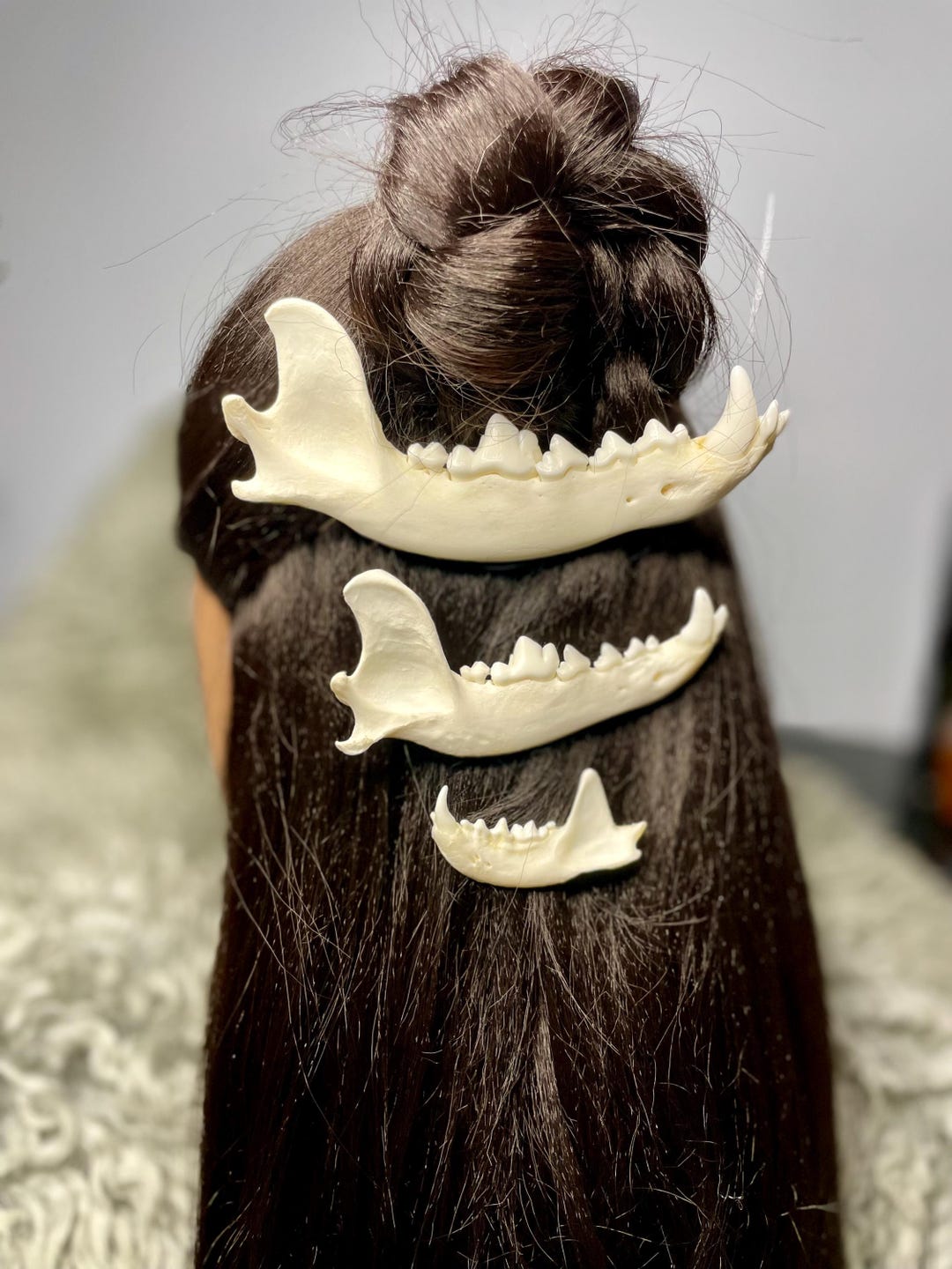 Jawbone Hair Clips| Real Coyote, Fox, Bobcat, Mink Mandible| Ethically Sourced Bone| Gothic Hair Accessory - Etsy