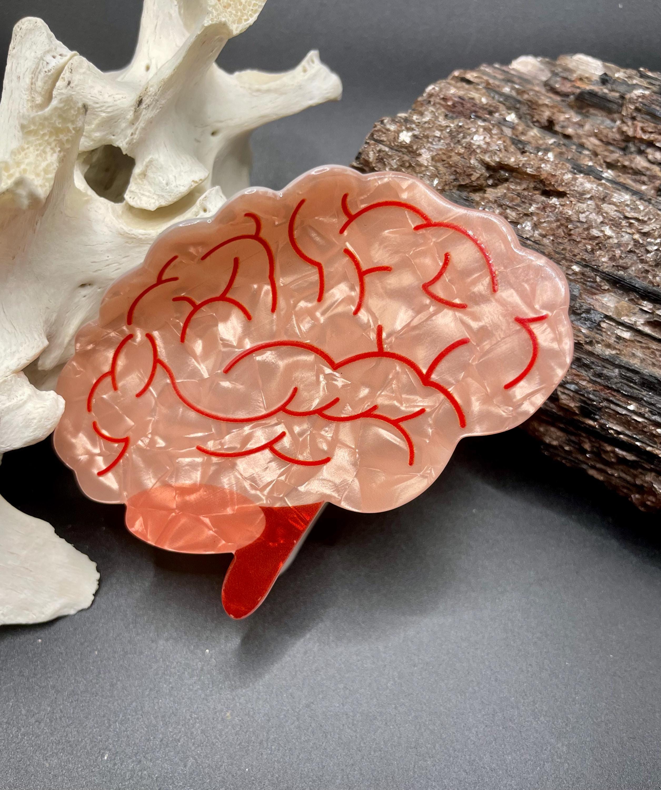 Anatomy Hair Claw Clips | Human Brain & Anatomical Heart Design - Etsy