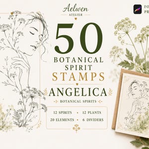 Könnte beinhalten: Ein digitales Stempelset für Procreate mit dem Titel 50 Botanical Spirit Stamps Angelica von Aelwen Atelier. Die Grafik zeigt eine Strichzeichnung einer Person, die mit botanischen Elementen verflochten ist, sowie Text mit Angaben zu 12 Geistern, 12 Pflanzen, 20 Elementen und 6 Trennelementen.