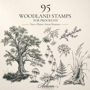 Puede incluir: Una colección digital de 95 sellos forestales para Procreate con ilustraciones en tinta negra y blanca de un gran roble, setas, flores silvestres, un helecho, hierbas y un tocón con el texto 95 WOODLAND STAMPS FOR PROCREATE.
