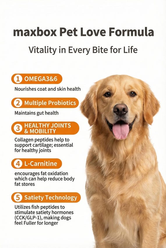 l carnitine benefits for dogs MAXBOX Weight Control Dog Food – A Complete food Dogs, High Protein, Joint Care glow enhancing soap bar injectable b12 shots for Weight:2