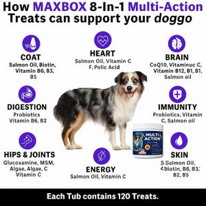 May include: An image promoting MAXBOX 8-in-1 Multi-Action dog treats. The image features a dog and a container of treats. The text highlights benefits like coat, heart, brain, digestion, immunity, hips & joints, energy, and skin. Each tub contains 120 treats.