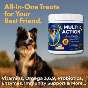 May include: An advertisement for dog treats. A tri-color dog sits in a field next to a white container of "Multi Action" treats. The container features a cartoon dog wearing sunglasses and a hat. Text includes "All-In-One Treats" and "8-in-1 Treats".