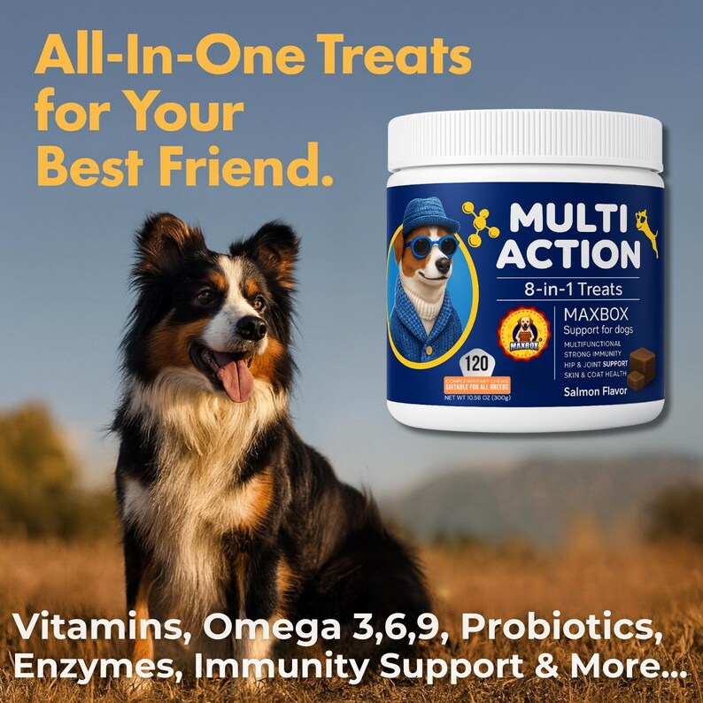 May include: An advertisement for dog treats. A tri-color dog sits in a field next to a white container of "Multi Action" treats. The container features a cartoon dog wearing sunglasses and a hat. Text includes "All-In-One Treats" and "8-in-1 Treats".