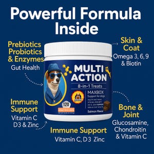 May include: A white and blue container of dog treats with the text "MULTI ACTION 8-in-1 Treats". The container features a cartoon dog wearing sunglasses and a blue hat. The product supports immune health, skin and coat, and bone and joint health.