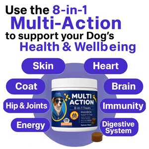May include: A white jar of Multi-Action 8-in-1 dog treats with a blue label. The label features a dog wearing sunglasses and a hat. The image includes text about supporting dog health and wellbeing, including skin, heart, and immunity.