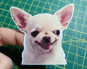 Pegatina de perro chihuahua sonriente con meme / Planificadores y regalos