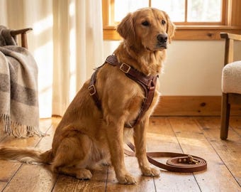 Handmade Leather Dog Harness & Leash Set | Padded Adjustable Pet Harness | Custom Size Gift