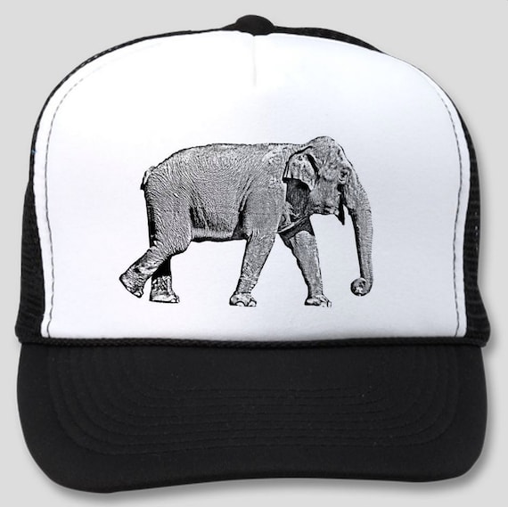 Elephant Cappello Elefante Simpatico Elefante Art Design' Cappello