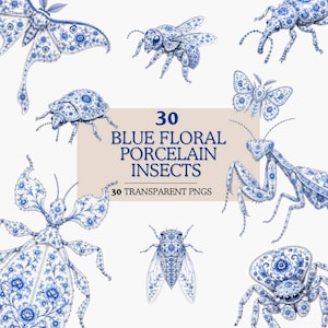 Blå blommig porslinsinsekter Clipart-set, Delftskallebi-fjärilskonst, Vintage insektsclipart, Chinoiserie PNG-set