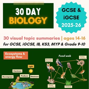 Biology Study Notes | Ecosystems & Energy Flor | GCSE, iGCSE Revision (Printable PDF) | 2025-2026