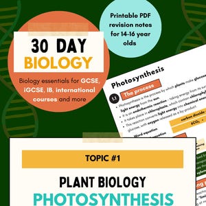Biology Study Notes | Photosynthesis | GCSE, iGCSE Revision (Printable PDF) | 2025-2026