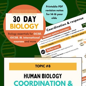 Biology Study Notes | Coordination & Response | GCSE, iGCSE Revision (Printable PDF) | 2025-2026