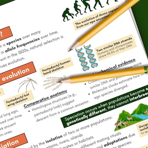 Biology Study Notes | Evolution | GCSE, iGCSE Revision (Printable PDF) | 2025-2026
