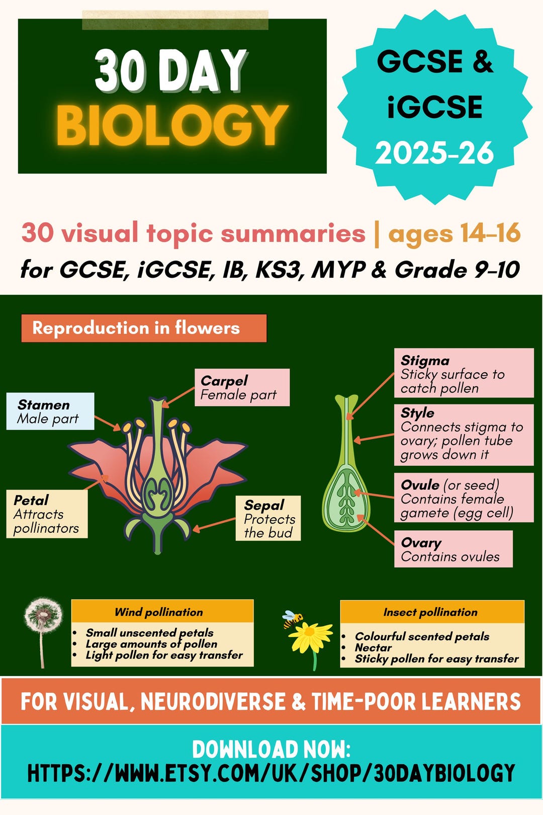 Biology Study Notes | Reproduction in Plants | GCSE, Igcse Revision ...