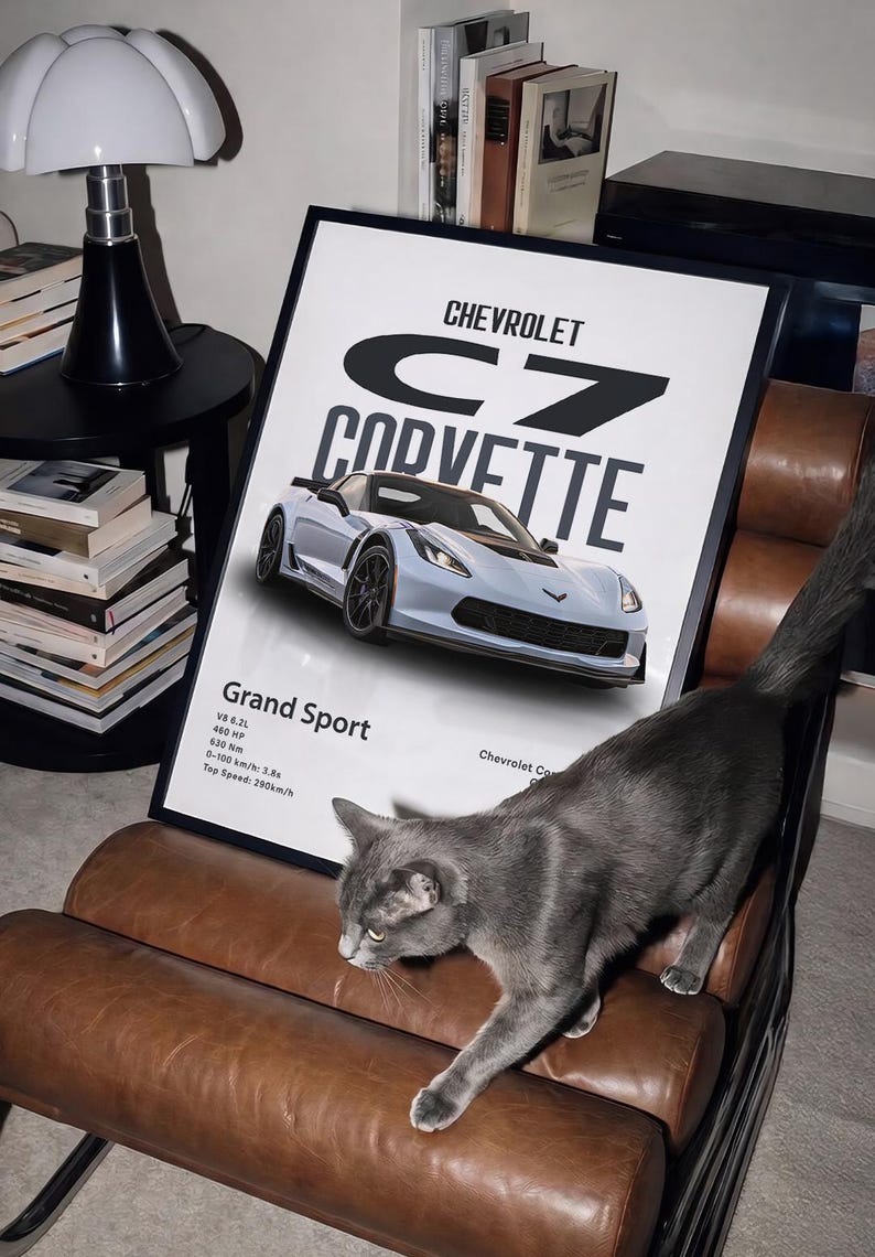 May include: A framed poster featuring a light blue Chevrolet C7 Corvette Grand Sport. The poster includes technical specifications and the Chevrolet logo. A gray cat walks across a brown leather chair in front of the poster.