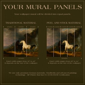 The image is a wall mural featuring two panels of horses in a landscape scene. The text indicates that the mural will be divided into equal panels, and the wall mural will be made of peel and stick material. The panels are described in terms of their width, ranging from 120 to 240 inches, depending on the size of the wallpaper. The wall mural is made of premium German materials, including vinyl and advanced printing technology, and is certified by the HP printer.