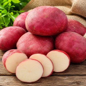 5 Pound LaSoda Seed Potatoes for Planting Smooth Red Skin Potato Tubers High Yield Garden Vegetable Easy Grow Crop