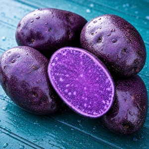 Purple Majesty Seed Potatoes: High-Yield Garden Crop, Easy Grow Vegetable (3 Pound Pack)