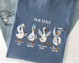 Silly Goose Pain Scale T-Shirt, RN Gift, ICU Nurse Shirt, Funny Doctor T-Shirt, Medical Humor Top, Comfy Hospital Shirt, Medical Humor Shirt
