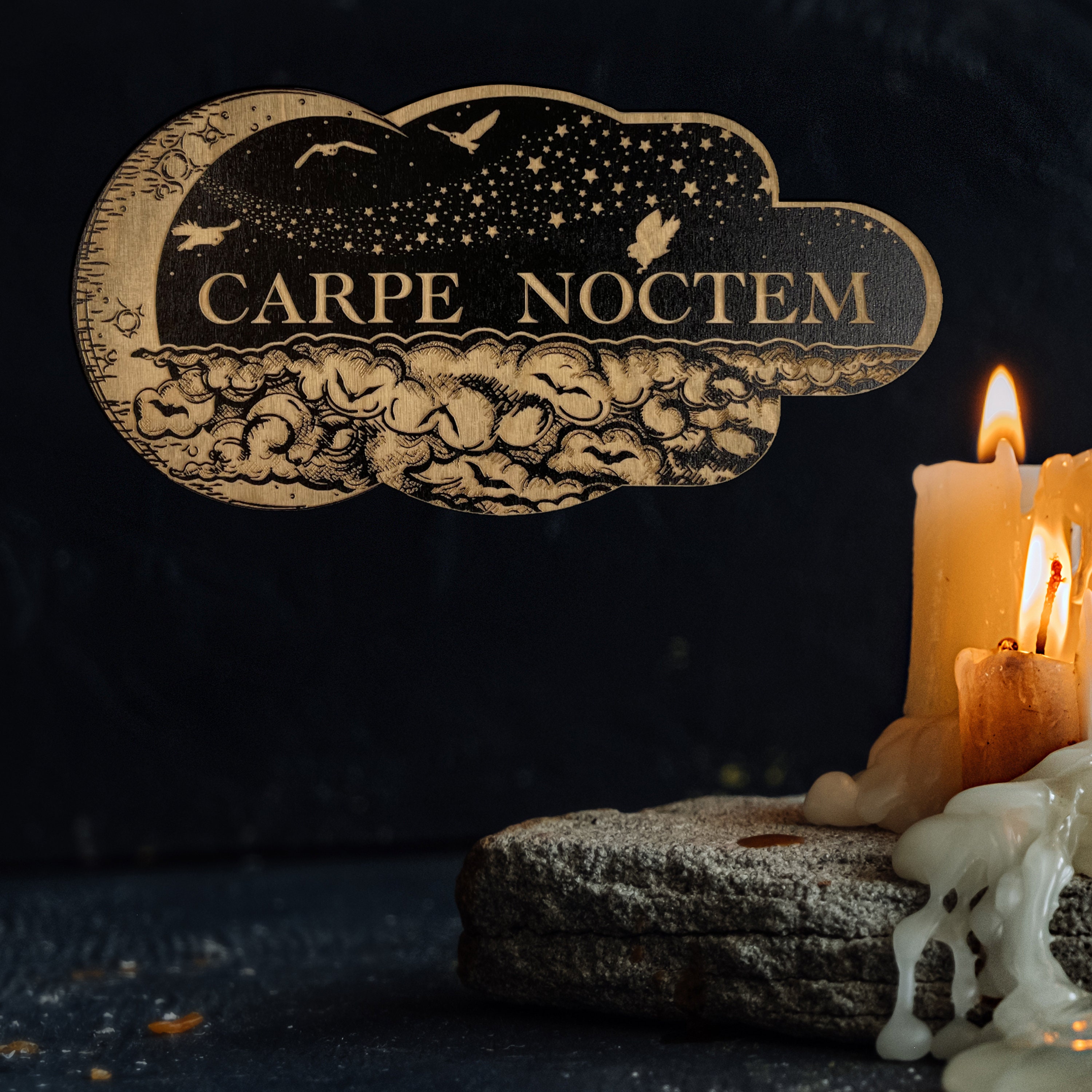 Carpe Noctem (seize the Night) Plaque - Etsy