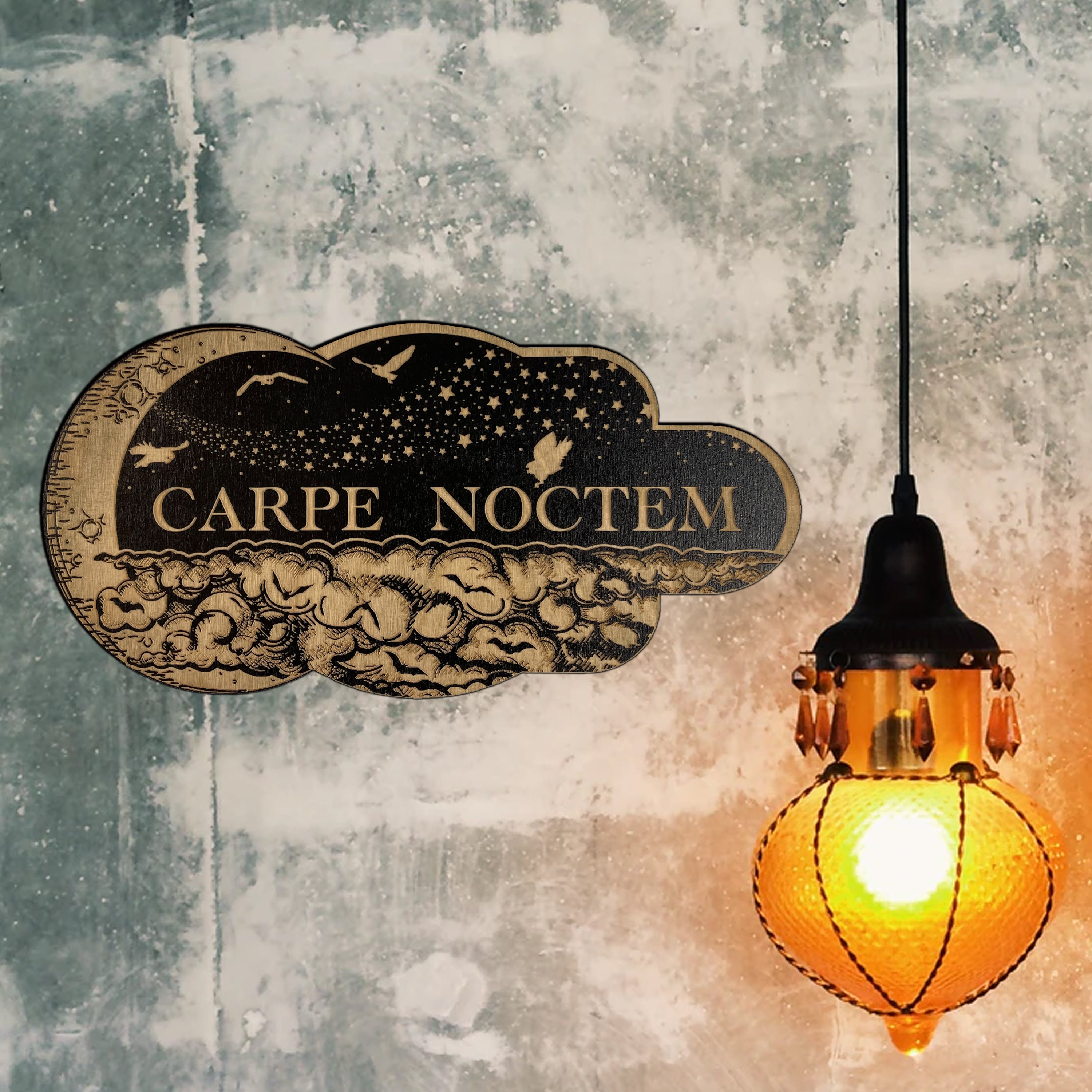 Carpe Noctem (seize the Night) Plaque - Etsy