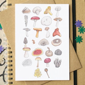 Carte de voeux alphabet champignon