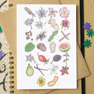 Carte alphabet Gin Botanicals