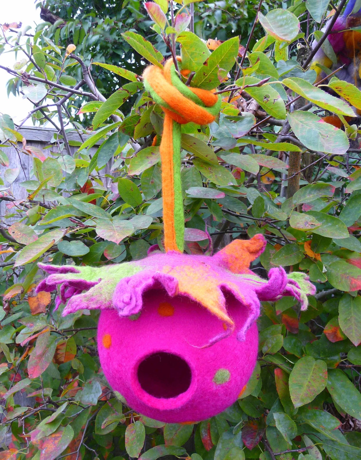 Felted Bird Pod Bird House Ornament Window Decoration Etsy