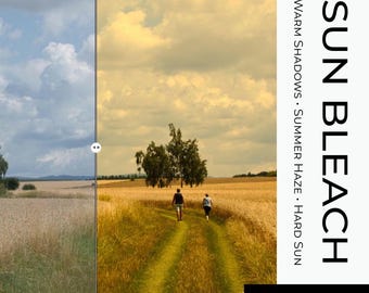 Sun Bleach Presets for Luminar Neo - 5 Summer Lifestyle & Landscape Photo Filters for Desktop - Warm, Moody, Faded Film Look