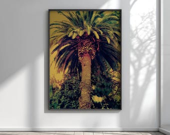 Mid Century Modern Palm Tree Wall Art - Digital Download Coastal Wall Decor - Boho Botanical Poster - Vintage Tropical Print