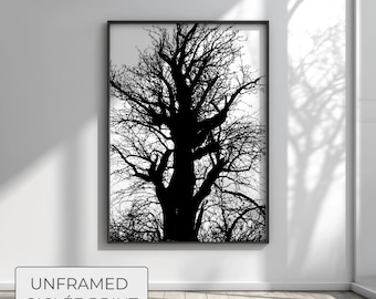 Stark Contrast Tree Silhouette, Nature Noir Black and White Forest, Minimalist Tree Wall Art, Gothic Nature Ink Style Photo, Fine Art Print