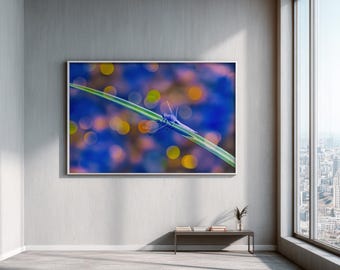 Dopamine Decor Wall Art, Colorful Dragonfly Print, Large Scale, Maximalist Wall Decor, Purple and Blue Dreamy Aesthetic, Digital Download