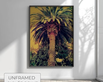 Mid Century Modern Palm Tree Wall Art - Retro Tropical Sunset Poster - Boho Botanical Print - Large Coastal Wall Decor - Giclee Paper Art