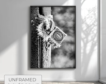 Frozen Texture Macro Photo, Abstract Metal Art Print, Industrial Winter Decor, Frost Anatomy, Monochrome Minimalist Wall Art, Silver Decor