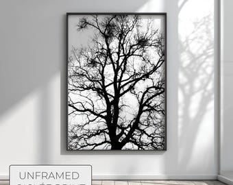 Large Oak Tree Silhouette Art Print, Intricate Winter Branches Wall Art, Minimalist Black and White Nature Photography, Fine Giclée Poster