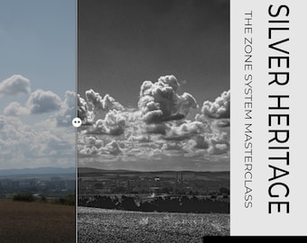 The Zone Master Collection: 5 Fine Art B&W Presets for Luminar Neo | Professional Black and White Photography Filters | Zone System Inspired