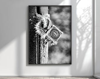 Frozen Texture Macro Photo, Abstract Metal Art, Industrial Winter Decor, Frost Anatomy Print