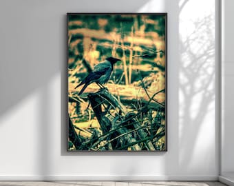 Printable Wall Art, Digital Download, Dark Academia Decor, Raven Photography, Emerald Green Art, Witchy Room Decor, Modern Gothic Art