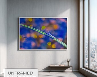 Dragonfly Macro Photography Print, Colorful Bokeh Wall Art, Dreamy Dopamine Decor, Modern Eclectic Home, Giclée Print
