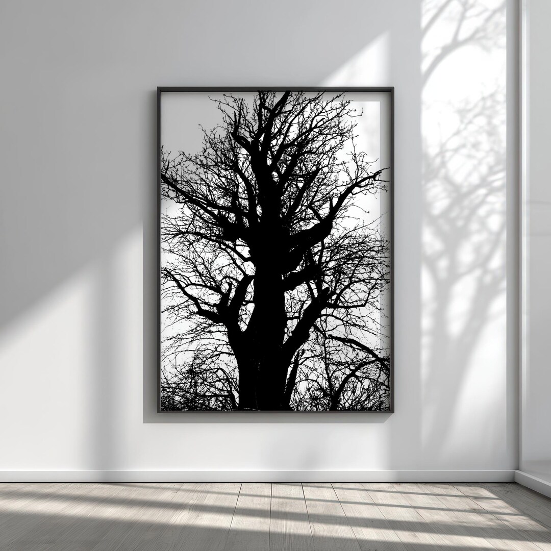 Contrast Tree Stark Contrast Tree Silhouette, Nature Noir Black and White Forest ...