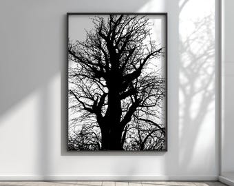 Stark Contrast Tree Silhouette, Nature Noir Black and White Forest, Minimalist Tree Wall Art, Gothic Nature Ink Style Photo, Fine Art Print