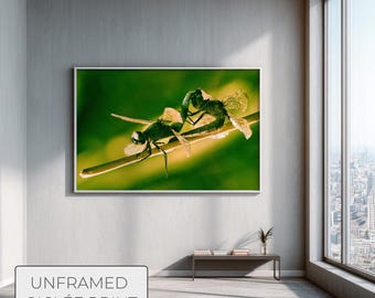 Dragonfly Wall Art Print, Macro Photography Nature Poster, Large Print, Green Wall Art for Bedroom, Insects Wall Decor, Wildlife Photo