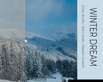 Luminar Neo Presets for Winter Landscape, Snowy Photography Editing Pack, Digital Download, Cool Blue Winter Dream Filters